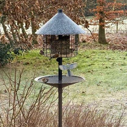 Råttsäker fågelmatare
