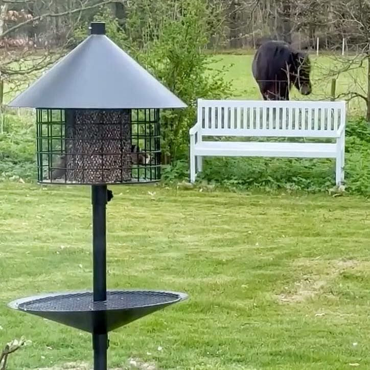 Råttsäker fågelmatare